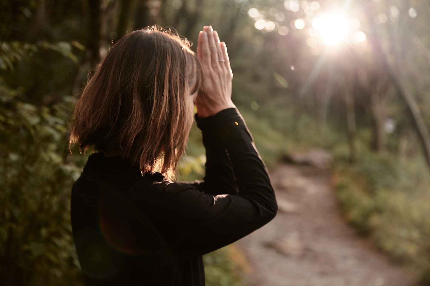 Forest Bathing & Nature Therapy Mini-Retreat thumbnail